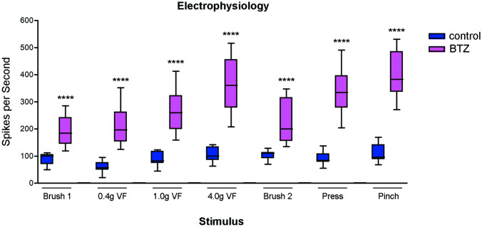 Extracellular electrophysiological recording in the SCDH of bortezomib (BTZ)-treated rats BTZ-treated animals showed significant wide dynamic range neurons (WDRN) hyperexcitability during all evoked response by light tactile (sable-hair brush, light Von Frey (VF) hairs), moderate noxious tactile (press) and painful stimuli (pinching). Control, bortezomib (BTZ) ****P<0.0001 vs control. For more details about Materials and Methods, see Supplementary material