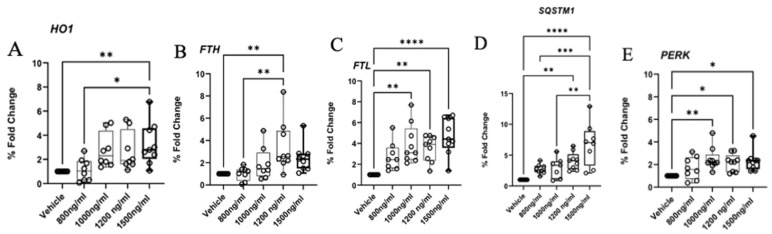 Validation of the RNAseq results by RT-qPCR. Relative expression levels of the DEGs between the bronchial cell groups exposed to different concentrations of Δ-9-THC. (A) HO1, (B) FTH, (C) FTL, (D) SQSTM1, (E) PERK genes showed dose specific Δ-9-THC response. Asterisks indicate statistical significance (* p < 0.05, ** p < 0.01, *** p < 0.001, **** p < 0.0001).