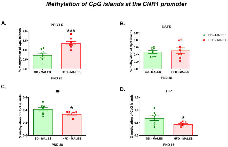 Effects of a maternal HFD during pregnancy and lactation on the methylation of CpG islands at the Cnr1 promoter in the (A) PFCTX, (B) DSTR, and (C) HIP of adolescent offspring and in the (D) HIP of young adult offspring. DSTR—dorsal striatum; HFD—high-fat diet; HIP—hippocampus; PFCTX—prefrontal cortex; PND—postnatal day; SD—standard diet. Data are presented as the mean ± SEM with individual value plots. N = 8 rats/group. * p < 0.05; *** p < 0.001 vs. SD.
