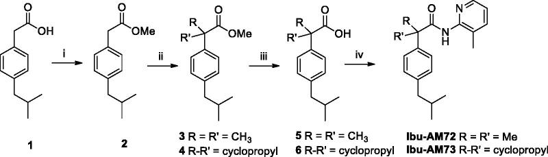 Synthetic pathway for Ibu-AM72 and 73. Reagents and conditions: (i) HCl 37%, MeOH, reflux 4 h; (ii) Lithium bis-(trimethylsilyl)amide, THF, −78 °C, 45 min, then MeI or 1,2-dibromoethane, 1 h; (iii) 5 N NaOH, H2O, EtOH, r.t., 24 h; (iv) EDC, HOBt, MeCN, r.t. 36 h.