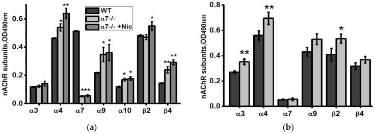 nAChR subunits composition in the brain (w/o mitochondria) fractions of α7-/- mice under the effect of either nicotine (a) or NSE (b). Each column corresponds to M ± SD, n-5. * p < 0.05; ** p < 0.005 compared to non-treated WT mice (a) or α7-/- mice (b).