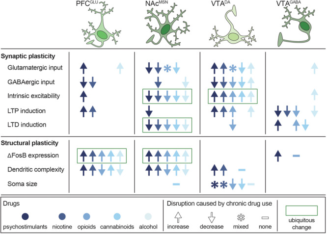 Persistent disruptions in synaptic and structural plasticity caused by long-term use of potentially addictive drugs. Studies are organized by cell type (columns) and type of disruption (rows), with symbols depicting the net change in plasticity and color depicting which drug was tested. Data from Bonci and Williams (1996), Kang et al. (1996, 1998), Robinson and Kolb (1997), Robinson and Kolb (2004), Badiani et al. (1999), Mansvelder and McGehee (2000), Dahchour and De Witte (2000), Uslaner et al. (2001), Brown and Kolb (2001), Robinson et al. (2002), Saal et al. (2003), Amantea et al. (2004), Hamilton and Kolb (2005), Nasif et al. (2005), Kolb et al. (2006), Kolb et al. (2018), Huang et al. (2007), Zhou et al. (2007), Van Den Oever et al. (2008), Kalivas et al. (2009), Niehaus et al. (2010), Russo et al. (2010), Bowers et al. (2010), Spiga et al. (2010), Levine et al. (2011), Dacher and Nugent (2011), Kroener et al. (2012), Lobo et al. (2013), Trifilieff and Martinez (2013), Mello et al. (2014), Peterson et al. (2015), Bloomfield et al. (2016), Creed et al. (2016), Ehlinger et al. (2016), Hearing et al. (2016), Morud et al. (2016), Friend L. et al., 2017), Langlois and Nugent (2017), Edwards et al. (2017), Spencer et al. (2018), You et al. (2018), Hwang and Lupica (2019), Kruse et al. (2019), McDevitt et al. (2019), Neuhofer et al. (2019), Pickel et al. (2019), and Ponzoni et al. (2019).