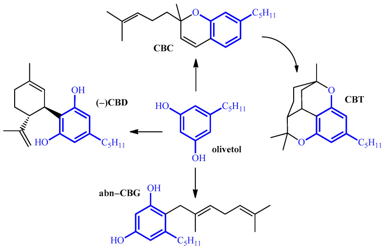 Synthesis route used for the preparation of cannabinoids.