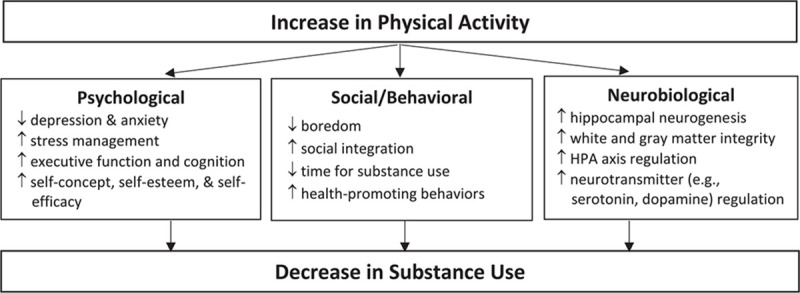 Potential mechanistic pathway between physical activity and substance use. ↑Indicates an increase; ↓ indicates a decrease. Support for the proposed psychological and social/behavioral mechanisms is primarily from human research while support for the neurobiological mechanisms is primarily from animal research. HPA, hypothalamic-pituitary-adrenal.