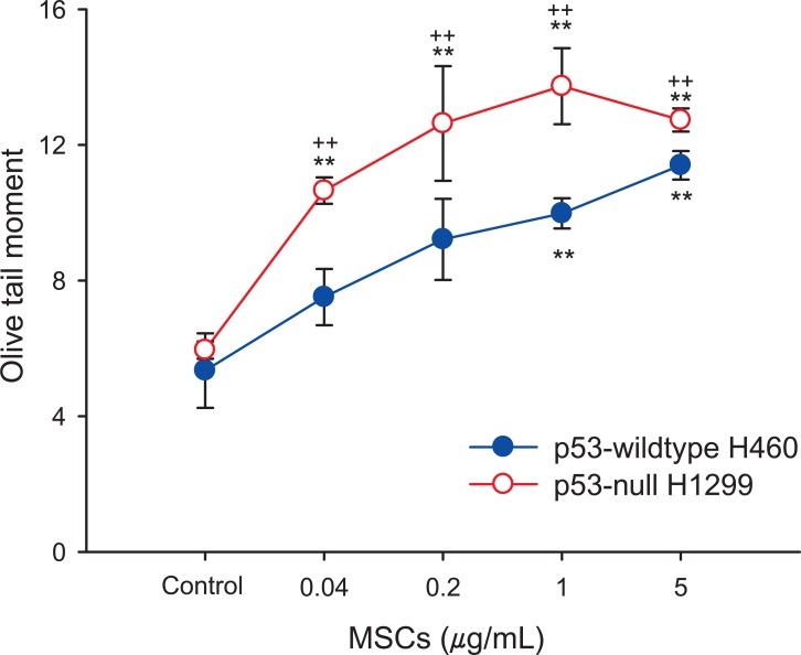 DNA breakage induced by marijuana smoke condensates (MSCs) in H460 cells and H1299 cells. The cells were incubated with MSCs (0.04-5 µg/mL) in growth media for 24 hours. The assays were carried out as described in materials and methods. All results are expressed as mean±SD of three separate experiments for each data point of the Olive tail moment (% DNA in tail×distance between centers of mass). Values were significantly different from vehicle control (0.1% DMSO; **p < 0.01) or each concentration of MSCs in H1299 cells (††p < 0.01).