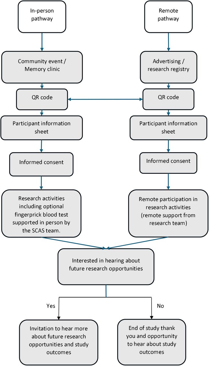 ACCESS D participation pathways