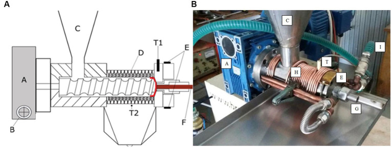 Mechanical screw press for hemp oil extraction. (A) Mechanical components and temperature sensors [adapted from Faugno et al. (22)]. (B) Cooling system. A – Motor; B – RPM regulator; C – Feeding hopper; D – Oil outlet holes; E- Head temperature regulator; F – Pressed cake; G- Nozzle; H – Copper oil; I – Coolant Fluid; T – Temperature sensor.