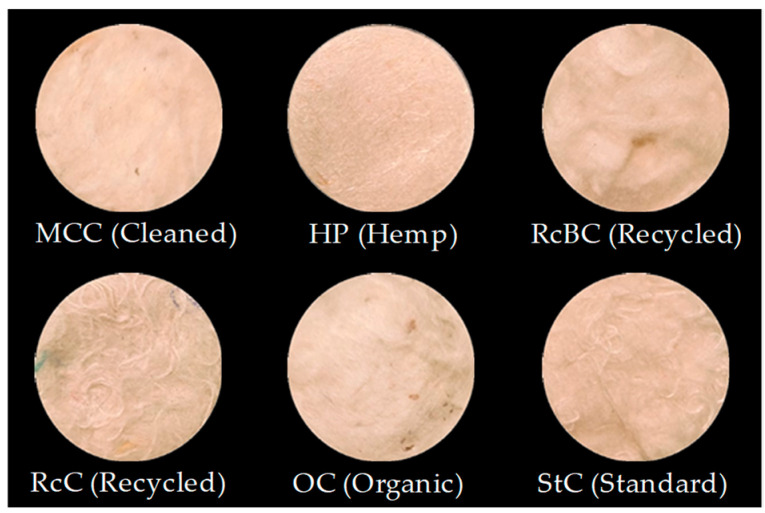 Visual representation of the pressed disc-shaped samples. The samples were mechanically cleaned cotton (MCC), raw hemp plant (HP), recycled organic bright cotton (RcBC), recycled cotton (RcC), organic raw material cotton (OC), and standard raw material cotton (StC).