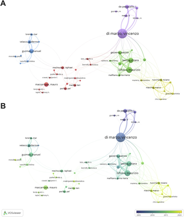 Visualization networks of authors. (A) Contributions and cooperation between authors. (B) Historiograph of author co-authorship.