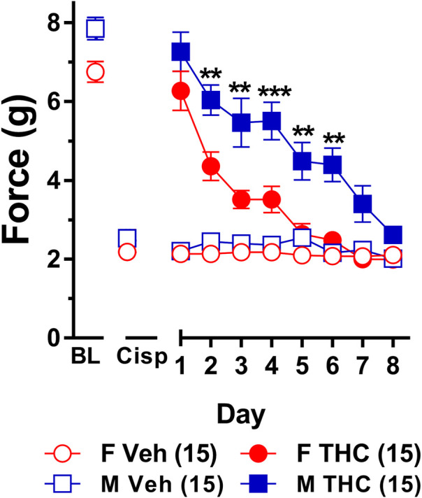 Development of tolerance to equally efficacious doses of ∆9-THC in male and female wild-type mice. Tolerance to the anti-allodynic effects of vehicle (unfilled) and equally efficacious doses of ∆9-THC (filled) was determined in both male (squares) and female (circles) wild-type (WT) mice using the von Frey. Mice were first assessed for the amount of force (in grams) required to elicit a paw withdrawal response 60 min following treatment with vehicle and 60 min later following treatment with 10 mg/kg (female) or 6 mg/kg (male) of ∆9-THC. BL represents the pre-cisplatin baseline and CISP the post-cisplatin baseline. Error bars represent the mean ± SEM. Each mouse was tested in triplicate and those values averaged to determine a single value for each mouse for each dose on each day testing. Data were analyzed using separate two-way ANOVAs with Bonferroni post-hoc tests. (**p > 0.01; ***p < 0.001; compared to females on the same day). Sample sizes for each group (shown in parentheses) include 15 male and 15 female WT mice.