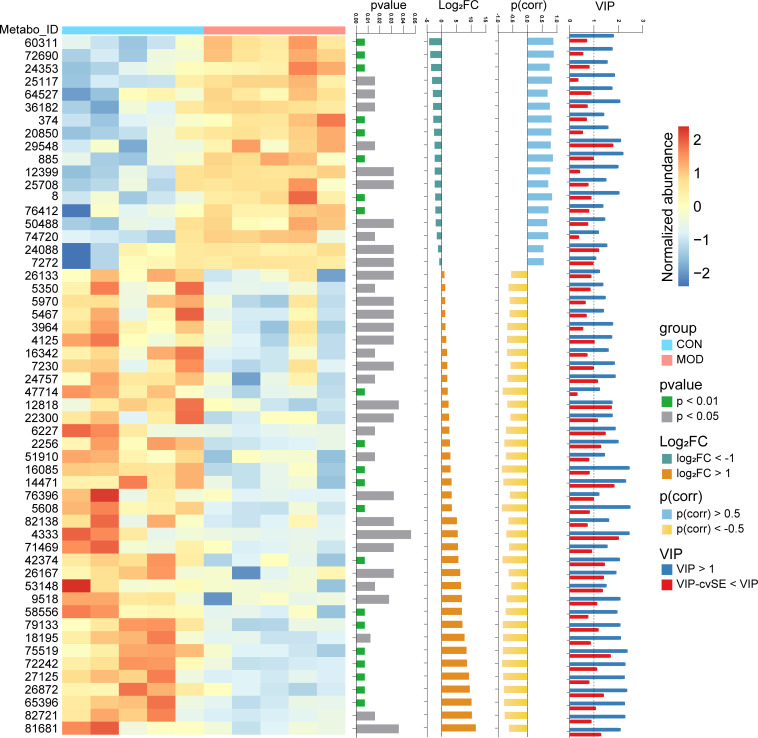 Metabolome analysis of duodenum. Differential metabolites were identified with thresholds of p < 0.05, |log2(FC)| > 1, |p(corr)| > 0.5 and VIP > 1 with cvSE of VIP less than the VIP value (n = 5 rats/group). The compound names corresponding to the Metabo_ID from top to bottom are as follows. 60311: Glycolithocholic acid; 72690: Taurolithocholate; 24353: Decanoyl-L-carnitine; 25117: Sphingosine; 64527: Glycodeoxycholic acid; 36182: Arachidonyl Ethanolamide; 374: Tyramine; 20850: C17 Sphingosine; 29548: Taurocholic acid; 885: Benzyl sulfate; 12399: Myristoyl Ethanolamide; 25708: Sphinganine; 8: 3-Hydroxybutyric acid; 76412: Taurodeoxycholate; 50488: Palmitoylcarnitine; 74720: Tricaprylin; 24088: Phytosphingosine; 7272: N,N-Dimethyltetradecylamine; 26133: 7-Sulfocholic acid; 5350: FA 18:2+O; 5970: Eicosapentaenoic acid; 5467: 9-HODE; 3964: gamma-Linolenic acid; 4125: Linoleic acid; 16342: Cholic acid; 7230: FA 18:2+2O; 24757: LPE(18:2/0:0); 47714: 7-Ketolithocholic acid; 12818: Lithocholic acid; 22300: Andrastin C; 6227: Arachidonic acid; 2256: Biotin; 51910: 6,7-Diketolithocholic acid; 16085: 3-Oxocholic acid; 14471: Murocholic acid; 76396: Taurochenodeoxycholate; 5608: FA 18:1+1O; 82138: LPC(18:1/0:0); 4333: Oleic acid; 71469: LPE(18:1/0:0); 42374: 3-Ketocholanic Acid; 26167: Oleoyl Ethanolamide; 53148: Hyocholic acid; 9518: N,N-Dimethyltetradecylamine-N-oxide; 58556: Stearoyl-L-Carnitine; 79133: LPC(17:0/0:0); 18195: Palmitoleoyl Ethanolamide; 75519: LPC(16:0/0:0); 72242: LPC(15:0/0:0); 27125: Docosahexaenoic acid; 26872: Stearoyl Ethanolamide; 65396: LPE(16:0/0:0); 82721: LPC(18:0/0:0); 81681: LPC(18:2/0:0).