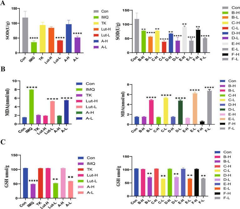 (A): The effects of SOD enzyme activity in mouse back skin, (B): The effects of MDA content in mouse back skin, and (C): the effects of GSH content in mouse back skin.