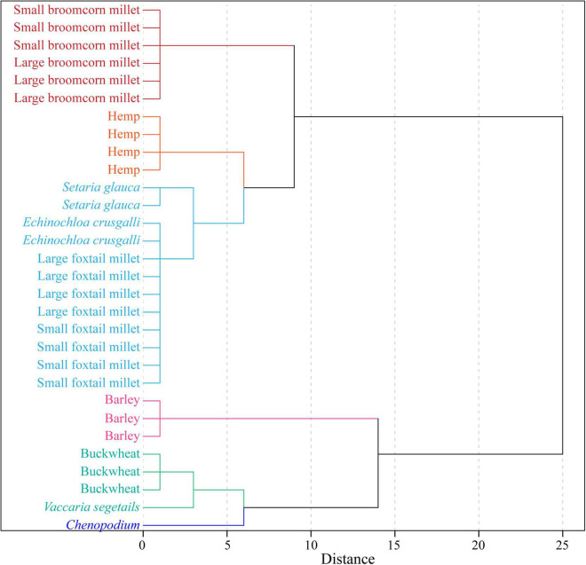 Element clustering analysis of plant remain samples from the Chashancun cemetery.