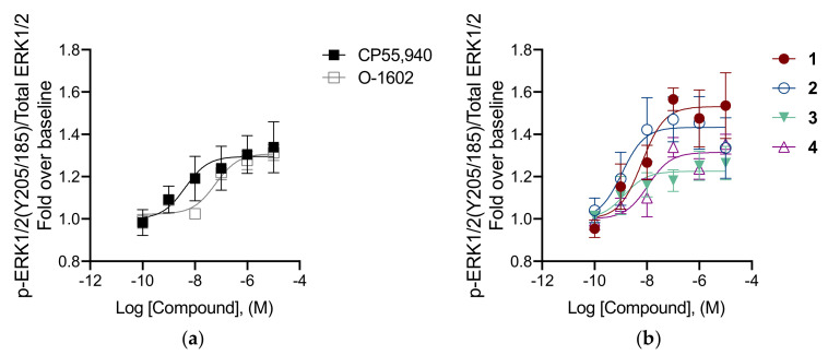 In vitro characterization of p-ERK1/2 in the presence of reference compounds CP55,940 and O-1602 (a) and of compounds 1–4 (b) at hGPR55. CHO cells expressing hGPR55 were treated with 0.1–10 µM compounds for 30 min. Data are expressed as fold over vehicle and are means ± SEM (n = 6 independent experiments performed in duplicate). All data were fit to a 3-parameter non-linear regression in GraphPad (v. 9.0). Analyses are presented in Table 2.