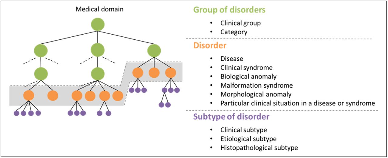 Classification levels and typologies of the Orphanet Nomenclature and Classification of RD.Every clinical entity in the Orphanet Nomenclature and Classification of RD is associated with a classification level conveying the precision of the diagnosis (Group of disorder, Disorder, or Subtype of disorder), and a unique typology within the classification level.