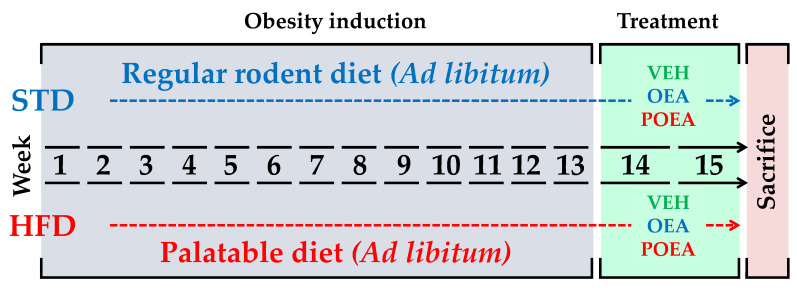 Experimental design. Animals exposed to either regular standard diet chow (STD) or a hypercaloric cafeteria diet (HFD) for 13 weeks were subsequently treated for two weeks with either vehicle (VEH), N-oleylethanolamine (OEA) and N-palmitoleoylethanolamine (POEA).