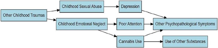 Flowchart Illustrating the Information Flow Within the Network, Depicting Patterns of Connection from Childhood Trauma Domains to Substance Use and Psychopathology.