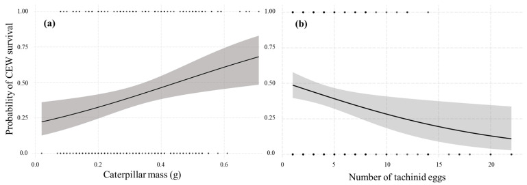 Predicted probability of CEW survival with respect to body mass (a) and number of tachinid eggs per host (b). Grey areas indicate the standard error.