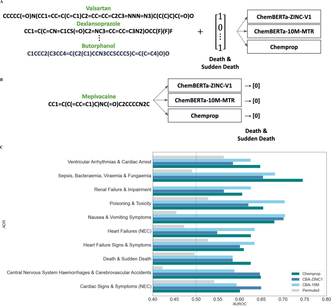 Overview of the SMILES-ADE Prediction Model Training and Testing. A. The models are trained using the SMILES strings of OnSIDES drugs and a binary vector indicating the presence of a particular serious ADE for that drug. B. The trained models are used to predict whether a testing set drug has the ADE listed on the drug label. C. The models achieve test-set AUROC of 0.620-0.745 per ADE, with no particular model demonstrably outperforming the others.