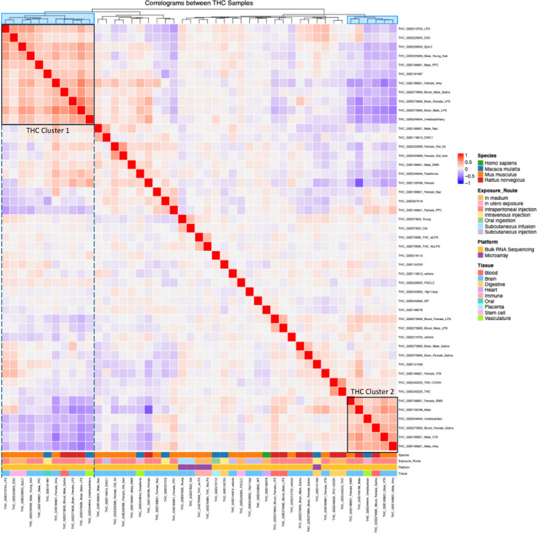 Hierarchical clustering reveals clusters of datasets with concordant gene expression signatures in response to THC exposure. The log2 fold changes across the genome for each THC dataset were used to calculate Spearman’s correlation coefficients between datasets, perform hierarchical clustering analysis, and identify coherent clusters. The results are shown in the heatmap. Red hues indicate concordant gene signatures (e.g. both datasets have their genes changing in the same direction and by a similar magnitude) while blue hues indicate discordant gene signatures. We focus on datasets that are under the same main cluster branch (highlighted in blue in the top cluster dendrogram) and show dominant positive correlations. Two distinct clusters of concordant THC datasets are indicated, with cluster 1 containing 11 datasets in the upper left quadrant and cluster 2 containing 6 datasets in the lower right quadrant. Both clusters are composed mostly of brain-related datasets and contain datasets derived from multiple species. These two clusters exhibited moderate negative correlations with each other