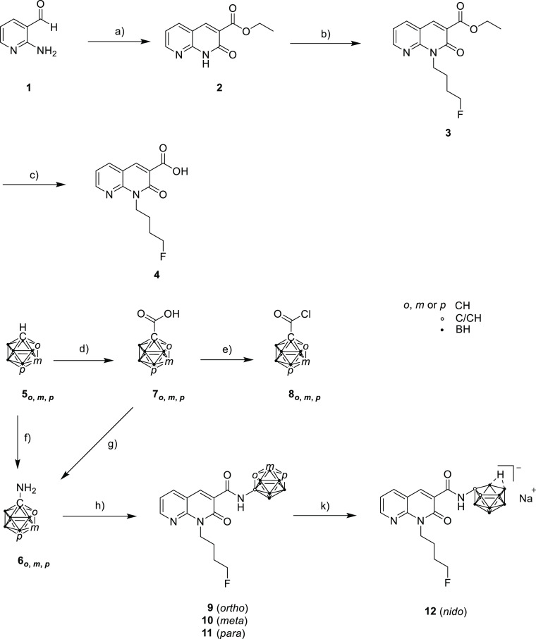 Synthesis of Target Compounds 9–12Reagents and conditions: (a) diethylmalonate, piperidine, EtOH, reflux, 19 h, 74%; (b) 1-bromo-4-fluorobutane, Na2CO3, N,N-dimethylformamide (DMF), 90 °C, 16.5 h, 83%; (c) THF/MeOH/H2O [2:1:1 (v/v/v)], LiOH·H2O, 60 °C, 2 h, 62%; (d) (i) n-buthyllithium (n-BuLi), Et2O, CO2, 16–21 h, rt; (ii) HCl, 97% (7o), 11% (7m), 87% (7p); (e) toluene, PCl5, rt, 1 h, 56% (8o), 61% (8m), 66% (8p); (f) for o- and m-carborane, (i) n-BuLi, Et2O, benzyl azide, rt, 3 h; (ii) glacial acetic acid, 90 °C, 2 h, 34% (6o), 28% (6m); (g) for p-carborane, (iii) SOCl2, DMF, reflux, 5 h, (iv) (CH3)3SiN3, toluene, reflux, 1 h, (v) tert-BuOH, reflux, 18 h, (vi) TFA, dichloromethane (DCM), rt, 14 h, 8% (6p); (h) (i) 4, SOCl2, 3 h, reflux, (ii) C2B10H11-NH2 (6o,m,p), toluene, compound 9: 15 h at rt, microwave for 50 min, 150 °C, 48%; compound 10: microwave for 50 min, 150 °C, 16 h at rt, microwave for 50 min, 150 °C, 42%; compound 11: microwave for 50 min, 150 °C, 16 h at rt, microwave for 50 min, 150 °C, 50%; (k) for o-carborane: NaF, EtOH/H2O [1:1 (v/v)], microwave for 5 min, 150 °C, 79%.