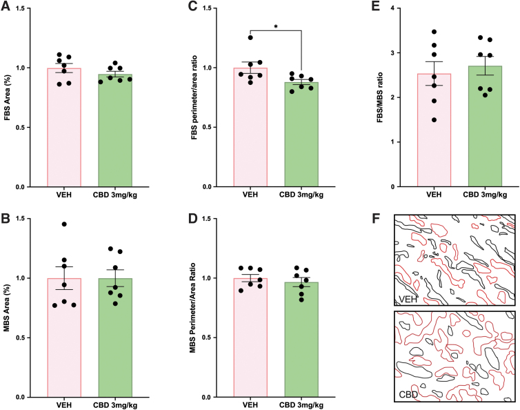 Exposure to 3 mg/kg CBD during gestation leads to a reduced perimeter:area ratio in the fetal capillaries of the labyrinth at E19.5 compared with the VEH control. (A) FBS area in the labyrinth layer. (B) MBS area in the labyrinth layer. (C) Perimeter:area ratio of the fetal blood spaces in the labyrinth layer. (D) The perimeter area ratio of the fetal blood spaces in the labyrinth layer. (E) Fetal blood space-to-maternal blood space ratio in the labyrinth layer. (F) Mask of fetal blood spaces (black) and maternal blood spaces (red) from representative histological image (400×magnification). Graphs present mean±SEM. Significance: Student's t-test (*p<0.05). CBD, cannabidiol; FBS, fetal blood space; MBS, maternal blood space; SEM, standard error of the mean; VEH, vehicle.