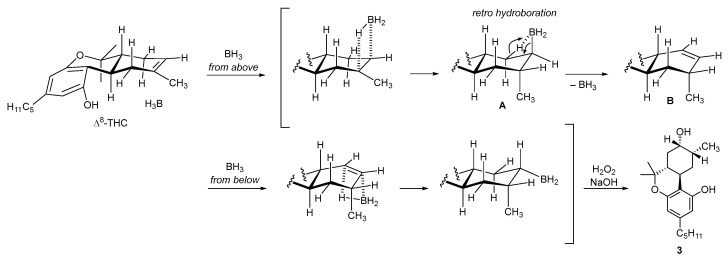 Reaction mechanism of hydroboration to yield compound 3.