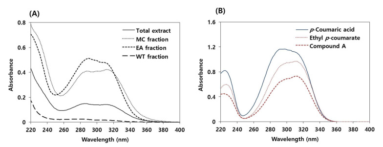 Ultraviolet (UV) absorption spectra of the samples in methanol. (A) UV absorption spectra of the total hemp root extract, its MC fraction, EA fraction, and WT fraction (30 μg mL−1). (B) UV absorption spectra of p-coumaric acid and ethyl p-coumarate chemically synthesized from p-coumaric acid (10 μg mL−1). The UV absorption spectrum of compound A purified from the hemp roots is also shown for comparison.