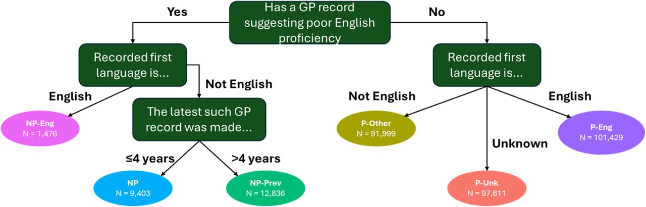 Categorising English proficiency P-Eng = Proficient in English with English as their first language; P-Unk = Proficient in English, unknown first language; P-Other = Proficient in English, but English is not their first language; NP-Prev = Not proficient in English, captured previously in GP record; NP = Not proficient in English; NP-Eng = English as their first language plus a record indicative of poor English proficiency