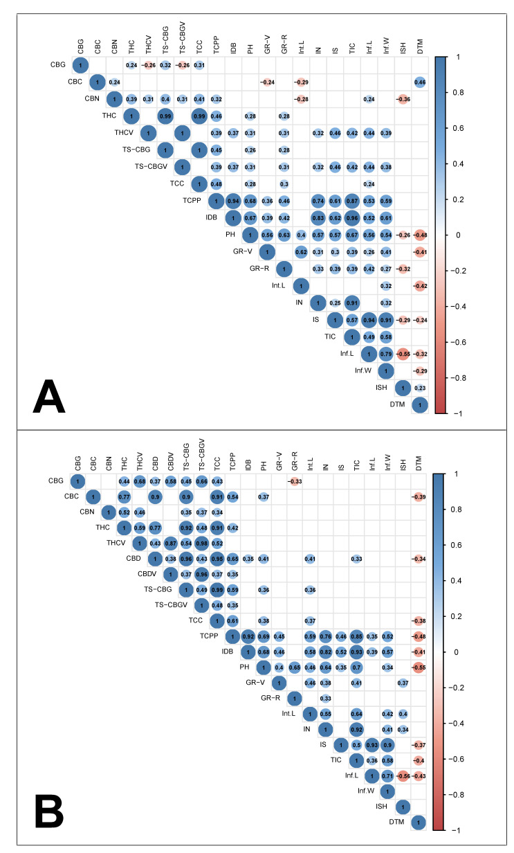 Correlation coefficient matrix for cannabinoid content, plant phenology, inflorescence morphology and key physiological attributes. (A) Correlations across high-THC genotypes (n = 74), (B) correlations across blended THC:CBD genotypes (n = 36). Values and colours indicate correlation strength and direction, respectively. Blank cells indicate insignificant correlations (p > 0.05). Abbreviations: total synthesised CBG (TS-CBG), total synthesised CBGV (TS-CBGV), growth rate during the vegetative phase (GR-V), growth rate during the reproductive phase (GR-R), total inflorescence coverage (TIC).
