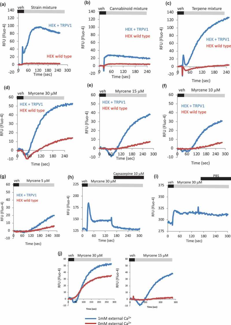 Dependency of terpene and myrcene responses on presence of TRPV1. a–c. HEK WT and HEK-TRPV1 were loaded with Fluo-4 and population-based calcium assays were conducted in the presence of 1mM external calcium. After a non-stimulated (NS) period to establish a baseline, cells were stimulated at 20 s with the indicated compound or mixture. d-g. Myrcene dose-response. Area under the curve analyses were performed followed by Student’s t-test. P value for HEK TRPV1 relative to HEK WT: panels A–G, P < 0.005. h, i. Effect of TRPV1 antagonist Capsazepine on calcium responses initiated by Myrcene in HEK-TRPV1 cells. Area under the curve analyses were performed followed by Student’s t-test. P value for trace in panel H relative to I: P = 0.002. j. Comparison of Myrcene induced (two doses, left and right panels) calcium responses in HEK TRPV1 stimulated in the absence (red trace, 0 mM added CaCl2 plus 1 mM EGTA) or presence of external calcium. Area under the curve analyses were performed followed by Student’s t-test. P-value for 1mM relative to 0mM external Ca2+: left panel, P = 0.018; right panel, P = 0.0008.