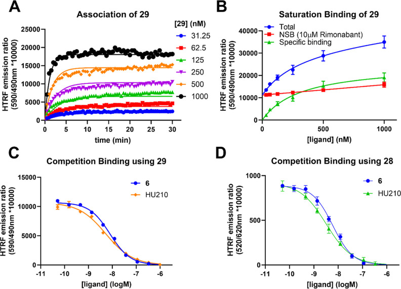 TR-FRET binding assays using HEK293TR-hCB1R cell membranes. (A) Observed association curves of TAMRA probe 29 to hCB1R. (B) Saturation binding analysis of 29 to hCB1R after 60 min. (C) Competition binding using 29 (300 nM) as a tracer with increasing concentrations of CB1R ligand 6 and HU210. (D) Competition binding using NBD probe 28 (60 nM) as a tracer with increasing concentrations of CB1R ligand 6 and HU210. Kinetic and equilibrium data were fitted to the equations described in the Supporting Information to calculate KD, kon, and koff values for fluorescent and unlabeled ligands. Data are presented as mean ± SEM, N = 3.