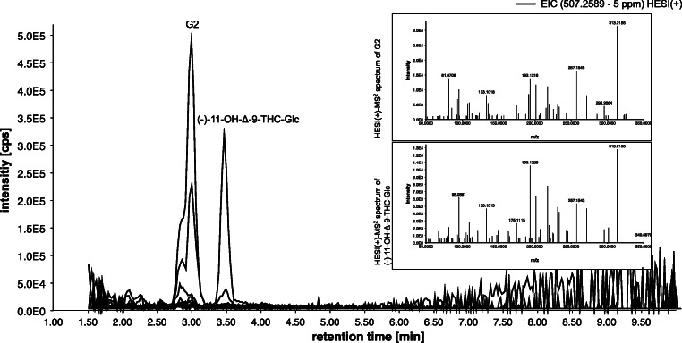 Extracted and overlaid ion chromatograms of m/z 507.2589 (5 ppm) in HESI(+) for OH-THC-Glc of ten authentic urine sample, analyzed by dilute and shoot approach; MS-2 spectra of the precursor 507 in HESI(+) for the corresponding peaks G2 (phenolic bound glucuronide) and (−)-11-OH-Δ-9-THC-Glc (alcoholic bound glucuronide)