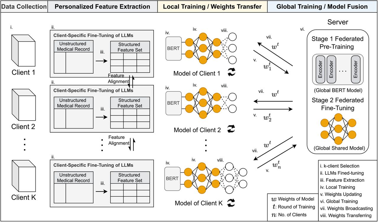 The architecture of Med-SSFWT. The framework operates in several iterative steps: (i) a subset of clients is selected for training in each round; (ii) clients fine-tune pre-trained LLMs on their specific datasets; (iii) structured features are extracted from unstructured medical records; (iv) local models are trained using the extracted features and fine-tuned BERT; (v) clients update their local model weights, which are then; (vi) collected by the server to update the global model; (vii) the updated global model is broadcast back to clients for further local training; and (viii) the process iterates until convergence, achieving a globally optimized model.
