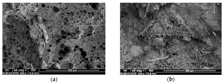 SEM images of LFC. (a) control LFC (no fiber inclusion); (b) LFC with the inclusion of kenaf fiber.