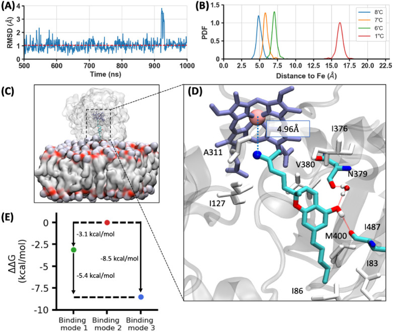 Putative binding mode of CBC to CYP2J2, which may lead to the production of 8′-hydroxy-CBC. (A) RMSD of CBC in binding mode 3 from the last 500 ns of the MD trajectory. Average RMSD is shown as a dashed red line. (B) The distribution of the selected carbon atom’s distance to the Fe atom in binding mode 3, resulting from the last 500 ns of the MD simulation. The heme distance distributions of 8′, 7′, 6′, and 1″-carbon atoms are shown as probability density functions (PDFs) in blue, orange, green, and red, respectively. (C) Representative snapshot of the MD setup with a docked CBC in the active site. CYP2J2 and the membrane are shown as surface representations. CBC and heme group are shown in cyan and lavender. (D) Representative snapshot of binding mode 3, highlighting some of the important residues surrounding CBC. Hydrophobic residues are colored in white. Atoms of N379 and I487 are shown in cyan (carbon), red (oxygen), and blue (nitrogen). A water molecule is shown in ball-and-stick representation. Hydrogen bonds are shown as red dashed lines. The distance between 8′-C (shown in blue) and Fe atom (shown in pink) is shown as a blue dashed line. (E) The relative binding free energies (ΔΔG) of binding modes. The ΔΔG of binding mode 1, 2, and 3 are shown in green, red and blue, respectively. The binding affinities of binding mode 1 and 3 are 3.1 and 8.5 kcal/mol stronger than that of binding mode 2, respectively.