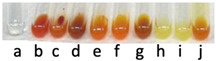 molecules-31-00796-i007.jpg