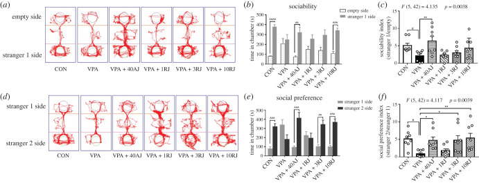 Effects of JZL184 treatment on social behaviors of VPA-exposed offspring in three-chamber test. (a–c) Sociability test. (d,e) Social preference test. (a,d) Representative images of track movements. (b) Time spent in chamber of sociability towards stranger rat 1 or empty cage. (c) Sociability index, calculated as time spent in the stranger 1/empty cage. (e) Time spent in chamber of social preference towards stranger 1 or stranger 2. (f) Social preference index, was calculated as time spent in the stranger 2/the stranger 1. Data represented as means ± s.e.m. (n = 8 pups per group). (b,e) Results were analysed by paired Student's t-test (^^p < 0.01, ^^^p < 0.001, ^^^^p < 0.001, stranger 1 side versus empty side or stranger 2 side). (c,f) Results were analysed by one-way ANOVA with Dunnett's post hoc test (#p < 0.05 versus CON group; *p < 0.05, **p < 0.01 versus VPA group). AJ, acute JZL184 treatment; RJ, repeated JZL184 treatment.