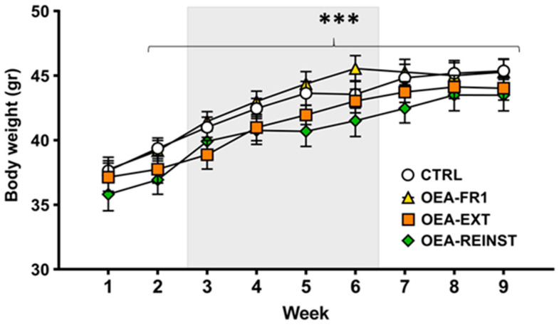 Bodyweight across the experiment. According to OEA treatment (10 mg/kg i.p): CTRL (n = 11, control group), OEA-FR1 (n = 11, 10 doses before each alcohol SA session), OEA-EXT (n = 12, 4–6 doses before each extinction session) and OEA-REINST (n = 12, a single dose before the cue-induced reinstatement test). Grey area represents alcohol 20% self-administration period (training and fixed-ratio 1). Data are represented as the mean (±SEM) bodyweight measured weekly. *** p < 0.001 significant difference with respect to Week 1, according to the repeated measure ANOVA followed by Bonferroni’s post hoc test.