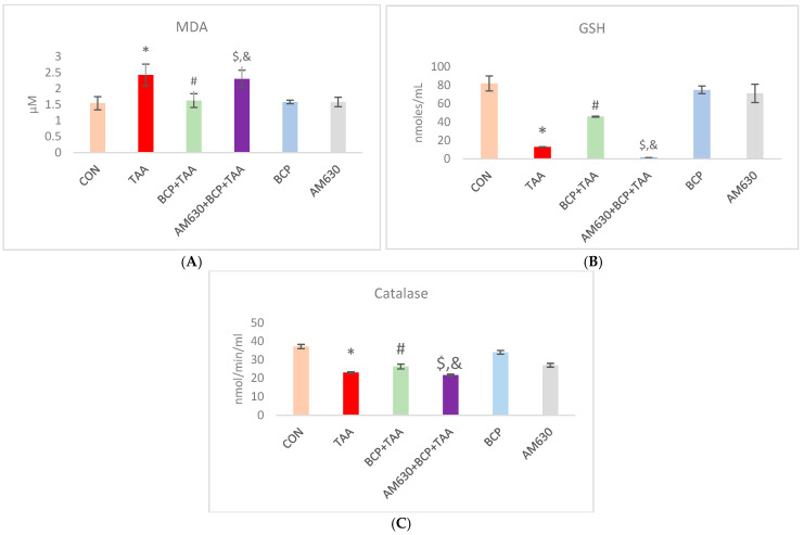 Effect of BCP treatment on TAA-induced oxidative stress. (A) MDA concentration, (B) GSH content, and (C) catalase activity. Data is presented as mean ± SEM (n = 9). * p < 0.05 CON vs. TAA, # p < 0.05 TAA vs. BCP + TAA, $ p < 0.05 BCP + TAA vs. AM630 + BCP + TAA, & p > 0.05 (n.s.) AM630 + BCP + TAA vs. TAA (one-way ANOVA followed by DMRT). CON: Control, TAA: Thioacetamide, BCP: β-Caryophyllene, BCP + TAA: β-Caryophyllene + Thioacetamide treatment, AM630 + BCP + TAA: β-Caryophyllene + AM630 + Thioacetamide.