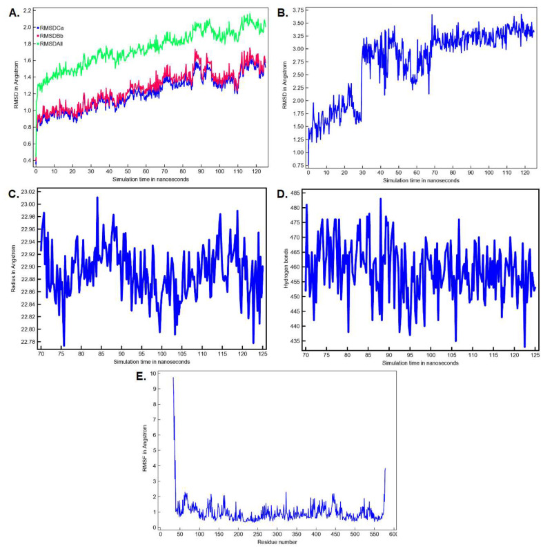 MD simulation parameters for the FAAH-montelukast complex (A) The time-dependent RMSD profile of the solute over 125 ns; (B) The time-dependent RMSD profile of ligand movement over 125 ns; (C) The radius of gyration of the solute over the last 55 ns; (D) The number of intramolecular hydrogen bonds over the last 55 ns: (E) The RMSF per amino acid residue over the last 55 ns. Ca—C-alpha (central carbon atoms); Bb—backbone atoms; All—all heavy atoms.