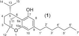 DTA-17-531-g010.jpg