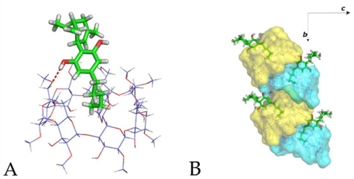 (A) The asymmetric unit of the CBD/DM-β-CD crystal structure and (B) the “herring bone” mode arrangement of the complex units along the b-axis.