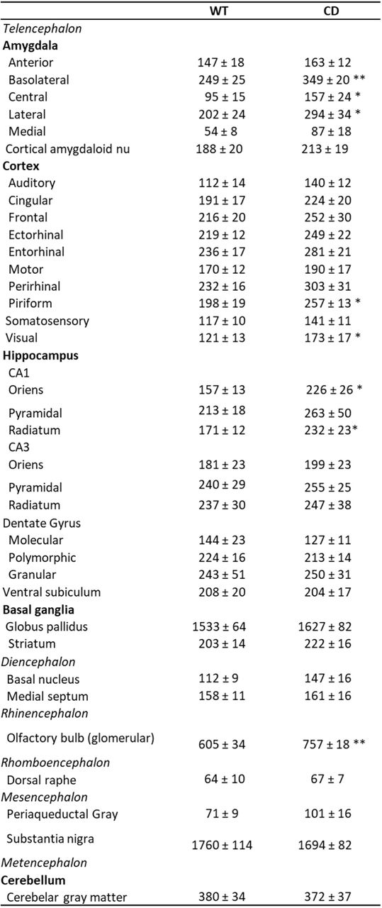 [35S]GTPγS binding evoked by WIN55,212-2 (10 µM) of all analysed brain regions (WT, n=12; CD, n=10), expressed as percentage of stimulation over the basal binding. Statistical significance was calculated by Student’s t-test. * p<0.05; ** p<0.01; (genotype effect). Data are expressed as mean ± S.E.M.