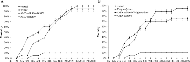 Mortality count of shrimp individuals challenged with WSSV (A) or V. alginolyticus (B) after the treatment with AMO-miR100. Each group contained over 20 shrimp individuals to ensure the confidence level and the treatment was repeated three times to avoid the influence of weather, shrimp condition, and injection operation error.