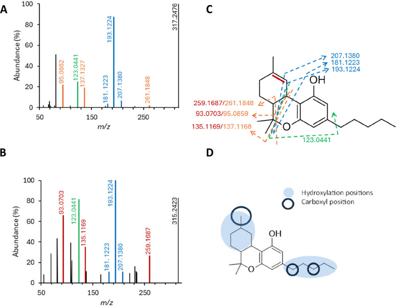 MS/MS spectra of 9R-HHC and Δ9-THC and proposed fragmentation pattern. ESI+ MS/MS spectra of 9R-HHC (A) and Δ9-THC (B) display common and specific product ions, enabling to propose a fragmentation pattern (C): 2-methylresorcinol core shared by all phytocannabinoids (), combined with pentyl chain () and specific fragments of 9R-HHC () and of Δ9-THC (). Phase I HHC metabolite structures were determined based on the same fragmentation pattern (D)