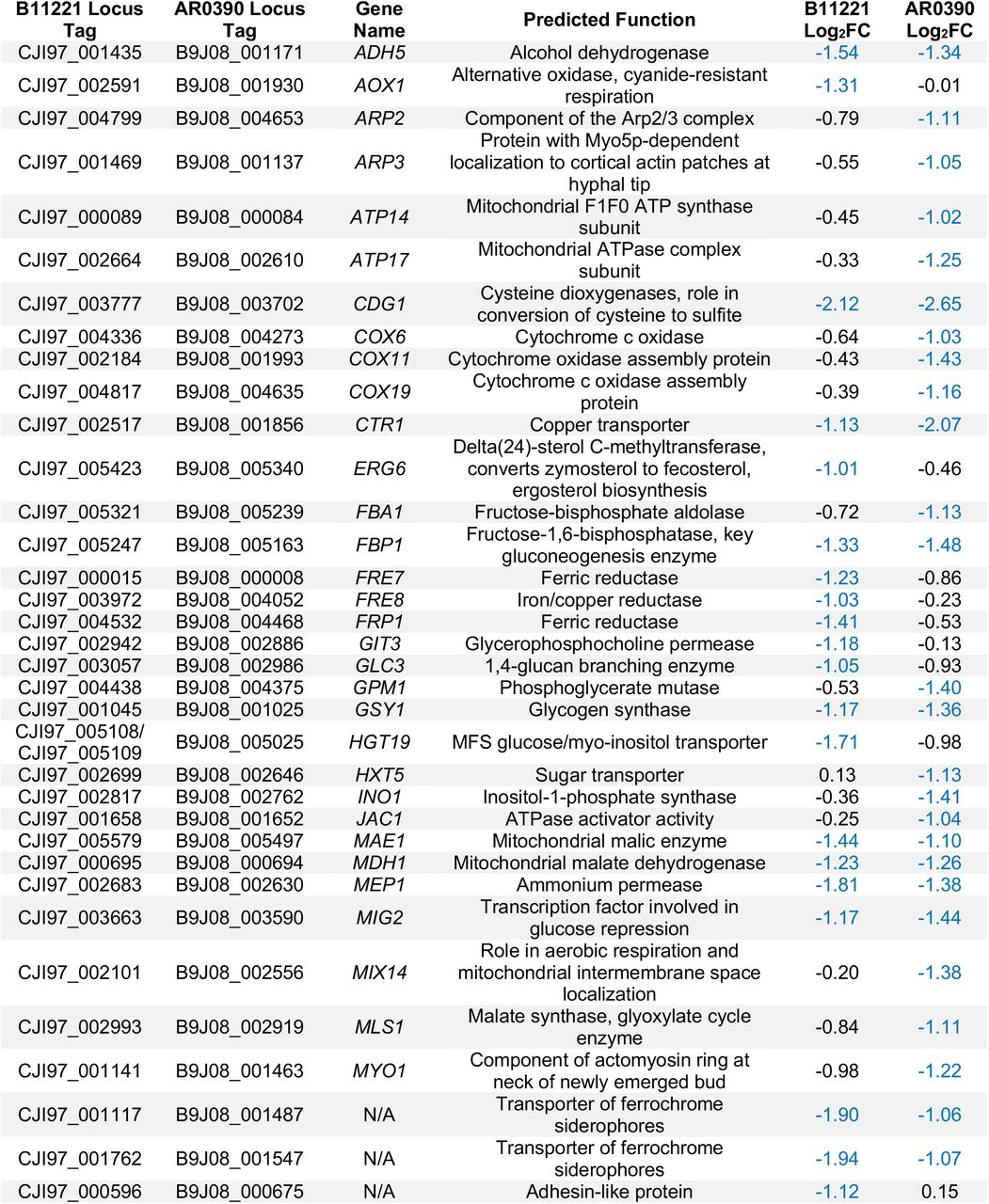 Comparison of select genes repressed by MG in B11221 and/or AR0390