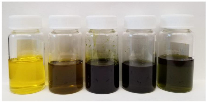 Hexane extract (oil), left to right—hemp hearts, whole seeds, hemp cake, hemp hulls and cold-pressed oil.