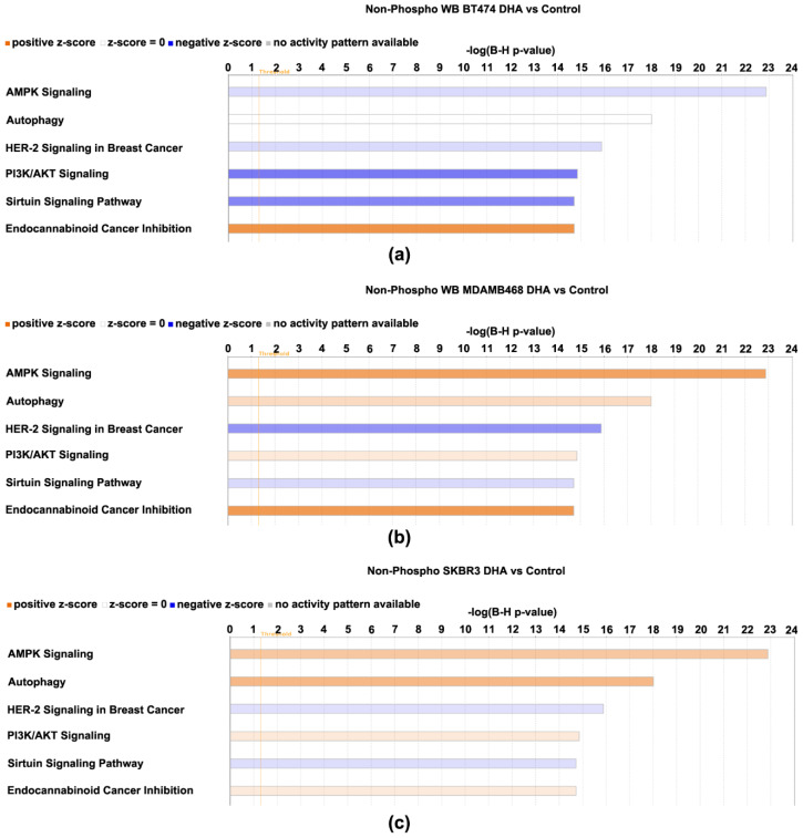 Canonical pathways affected by 4-oxo-DHA across three molecular subtypes of breast cancer cell lines. Canonical pathways affected by 4-oxo-DHA as predicted by the nonphosphorylated proteome data sets listed in Table 1, Table 2, Table 3 and Table 4. Canonical pathways shown for cell line (a) BT474, (b) MDAMB468, and (c) SKBR3.The −log(B-H p-values) is the multicomparison adjusted probability that the association between the protein expression set and the canonical pathway is due to chance. The direction of the differences in expression between the treatment and the control for each protein component was compared to that tabulated in the IPA knowledge basis (>80,000 database entries) that support the canonical pathways that have been annotated and a z-score was computed. A z-score ≤ −2 indicates the pathway is inhibited and ≥2 that the pathway is activated. If the z-score is between −2 and 2, no prediction of inhibition or activation is deduced. Shades of red indicate that the pathway was activated by treatment with 4-oxo-DHA; greater color intensity indicates stronger evidence of activation. Shades of blue indicate that the pathway was inhibited by treatment with 4-oxo-DHA; greater color intensity indicates stronger evidence of inhibition. The absence of coloration indicates that the evidence was not strong enough to permit a prediction of pathway status.
