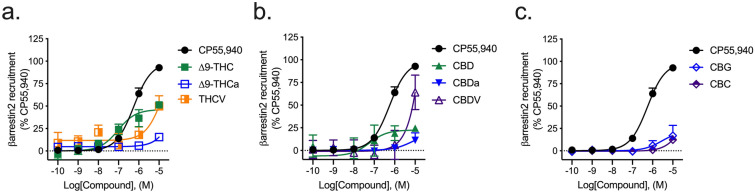 hCB2R-dependent recruitment of βarrestin2. hCB2R-dependent recruitment of βarrestin2 was quantified in PathHunter CHO cells stably expressing hCB2R and treated with 0.1 nM–10 µM (a) THC-like compounds; (b) CBD-like compounds; or (c) CBG, or CBC for 90 min. Data were fit to a variable slope (4 parameter) non-linear regression in GraphPad (v. 8). n ≥ 6 independent experiments performed in triplicate. EMax refers to the top of the concentration–response curve. Data are expressed as mean ± SEM. EC50 and Emax are reported in Table 3.